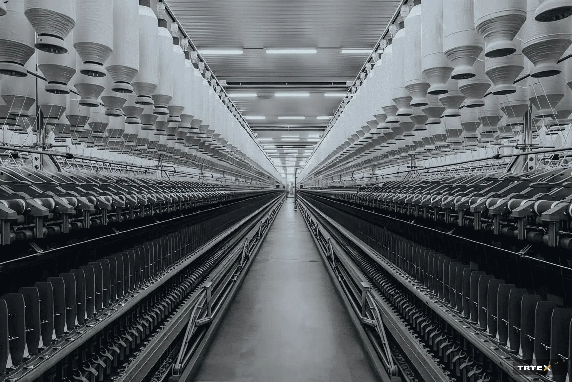 Dual Pressure Across Raw Materials: Cotton Climbs as the Polyester Price Spread Compresses