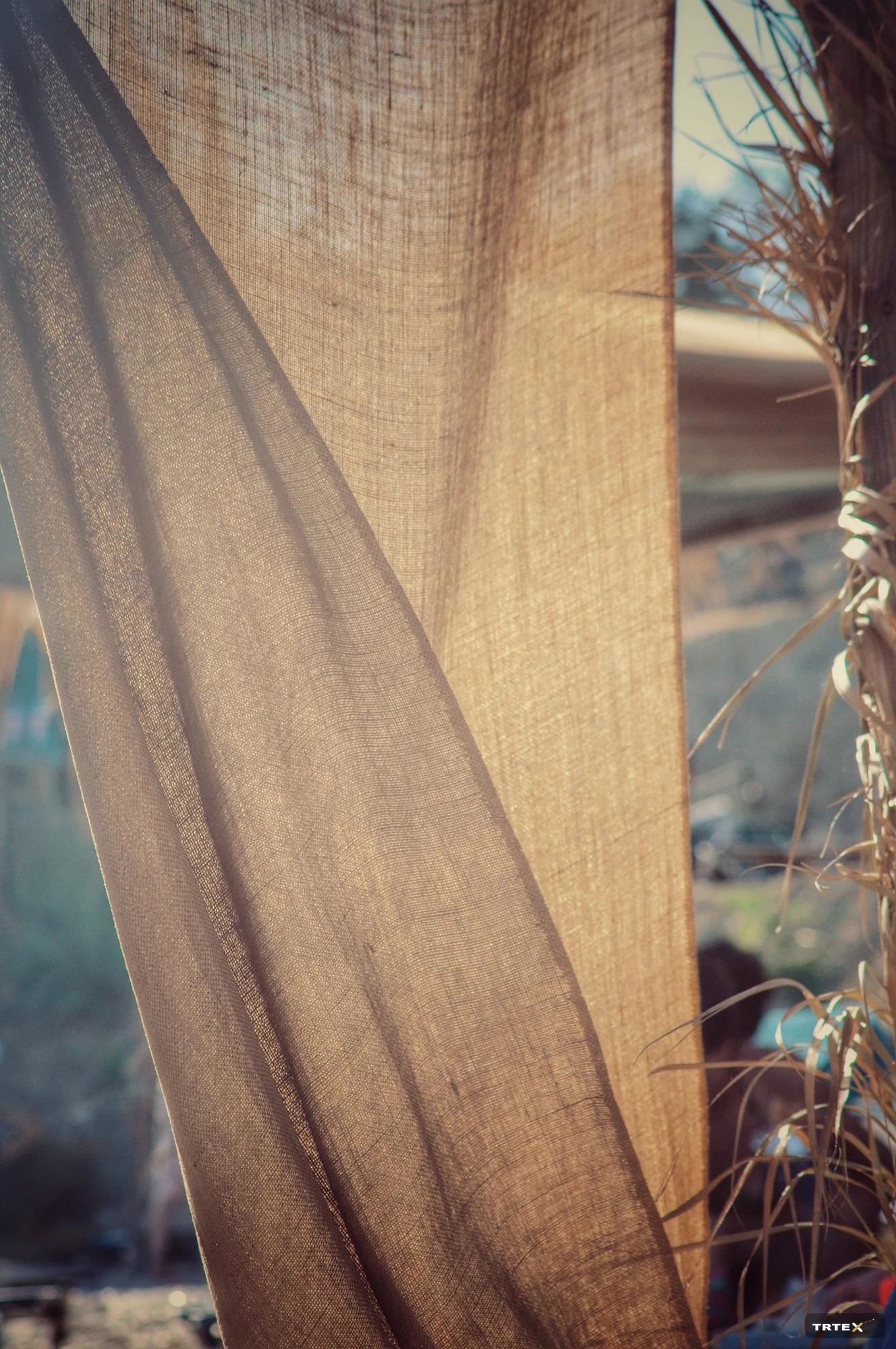 Sustainable Luxury & Craftsmanship: A Precious Future Legacy